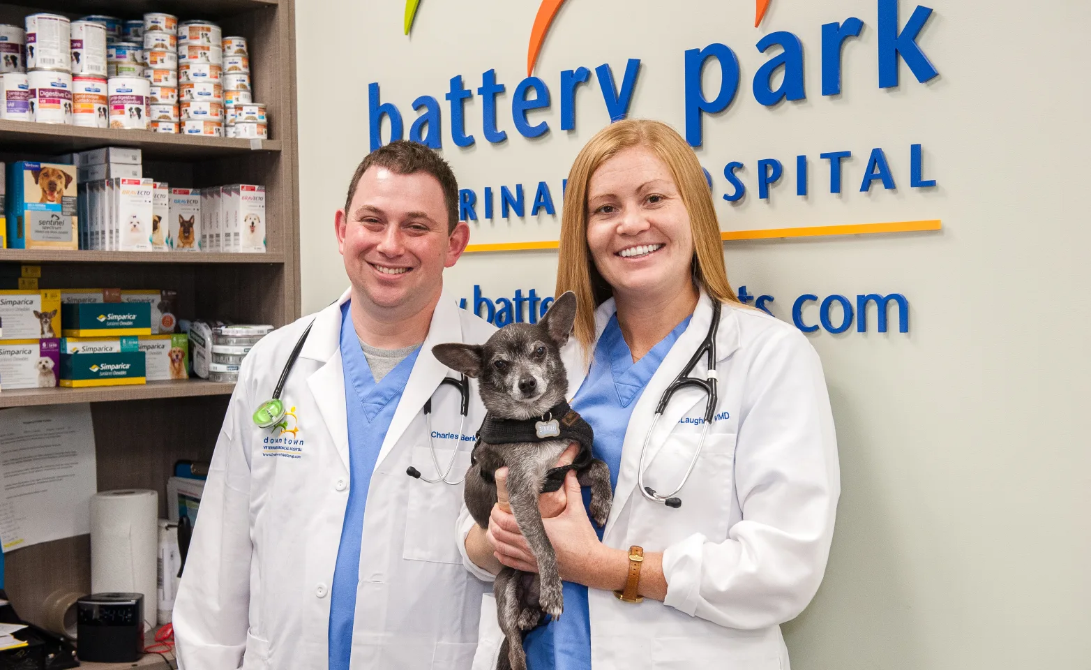 Veterinarians with small black dog at Battery Park Veterinary Hospital